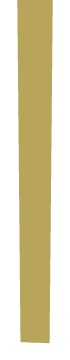 bkr_int02_clothstrip004, a piece of the GTA V map