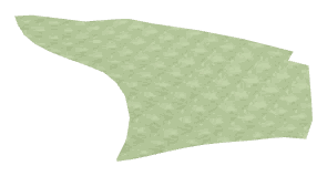 ch1_01_grv_fur28, a piece of the GTA V map in Pacific Bluffs