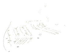 ch1_01_gvy_dtl02, a detail piece of the GTA V map in Pacific Bluffs
