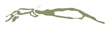 ch1_01_gvy_dtl04, a detail piece of the GTA V map in Pacific Bluffs