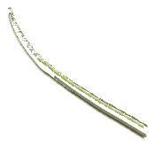 ch1_01_hedgedtl_03, a vegetation piece of the GTA V map in Pacific Bluffs