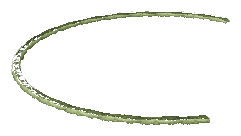 ch1_01_hedgedtl_08, a vegetation piece of the GTA V map in Pacific Bluffs