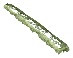 ch1_01_hedgedtl_11, a vegetation piece of the GTA V map in Pacific Bluffs