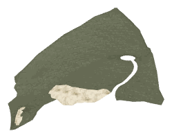ch1_01_land_00a_lod, a low-detail (LOD) model of the GTA V map in Pacific Bluffs