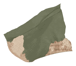 ch1_01_land_05, a terrain piece of the GTA V map in Pacific Bluffs