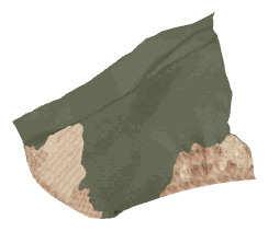 ch1_01_land_05_lod, a low-detail (LOD) model of the GTA V map in Pacific Bluffs