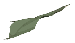 ch1_01_land_11_lod, a low-detail (LOD) model of the GTA V map in Pacific Bluffs