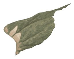 ch1_01_land_slod_01, a super-low-detail (SLOD) model of the GTA V map in Pacific Bluffs