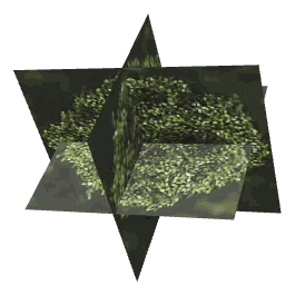 ch1_01_props_combo0140_24_lod, a low-detail (LOD) model of the GTA V map in Pacific Bluffs