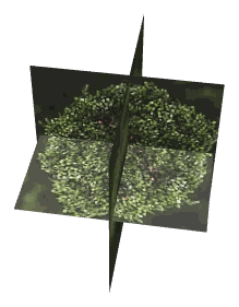 ch1_01_props_combo0145_07_lod, a low-detail (LOD) model of the GTA V map in Pacific Bluffs