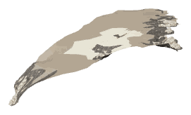 ch1_01_sea_ch1_01_uw_08, a water or sea piece of the GTA V map in Pacific Ocean