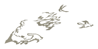 ch1_01_sea_ch1_01_uw_dec_02, a decal of the GTA V map in Pacific Ocean