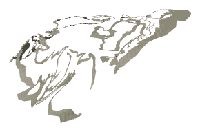 ch1_01_sea_ch1_01_uw_dec_05, a decal of the GTA V map in Pacific Ocean