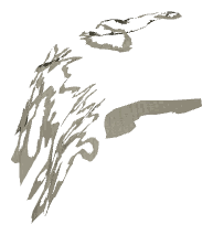 ch1_01_sea_ch1_01_uw_decb_00, a decal of the GTA V map in Pacific Ocean