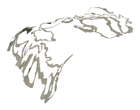 ch1_01_sea_ch1_01_uw_decc_00, a decal of the GTA V map in Pacific Ocean