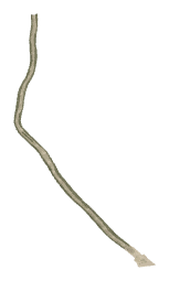 ch1_01_trail1, a piece of the GTA V map in Pacific Bluffs
