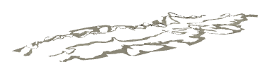 ch1_02_sea_ch1_02_uw1_dec_00, a decal of the GTA V map in Pacific Ocean