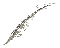 ch1_02_sea_ch1_02_uw1_dec_05, a decal of the GTA V map in Pacific Ocean