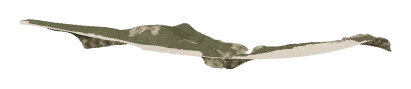 ch1_03_land_004, a terrain piece of the GTA V map in Lago Zancudo