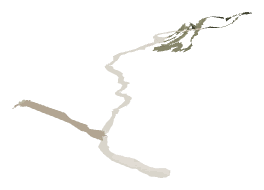 ch1_03_lnd_dcl1, a decal of the GTA V map in Pacific Ocean