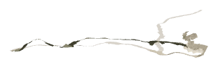 ch1_03_lnd_dcl2, a decal of the GTA V map in Tongva Hills