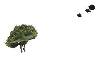 ch1_03_props_veg08_01_lod, a low-detail (LOD) model of the GTA V map in Tongva Hills