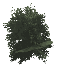 ch1_03_props_veg10_09_lod, a low-detail (LOD) model of the GTA V map in Tongva Hills