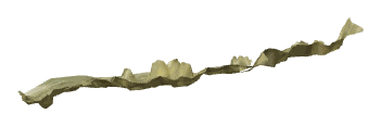 ch1_03_sea_ch1_03_uw_06_lod, a low-detail (LOD) model of the GTA V map in Pacific Ocean