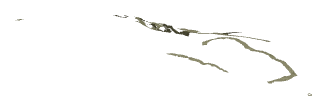 ch1_04_dcl_13b, a decal of the GTA V map in Lago Zancudo