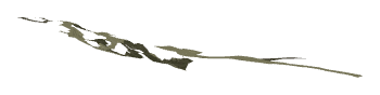 ch1_04_dcl_13b_lod, a low-detail (LOD) model of the GTA V map in Lago Zancudo
