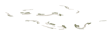 ch1_04_dcl_15, a decal of the GTA V map in Lago Zancudo