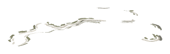 ch1_04_dcl_17, a decal of the GTA V map in Lago Zancudo