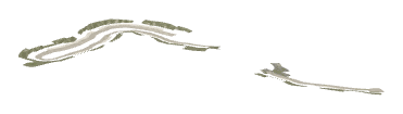 ch1_04_dcl_19, a decal of the GTA V map in Lago Zancudo