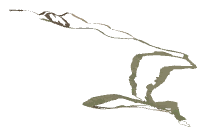 ch1_04_dcl_20, a decal of the GTA V map in Lago Zancudo