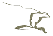 ch1_04_dcl_20_lod, a low-detail (LOD) model of the GTA V map in Lago Zancudo