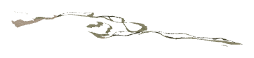 ch1_04_dcl_21, a decal of the GTA V map in Lago Zancudo