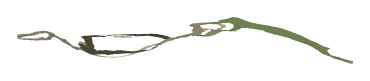 ch1_04_dcl_23a, a decal of the GTA V map in Lago Zancudo
