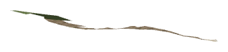 ch1_04_dcl_a11, a decal of the GTA V map in Lago Zancudo