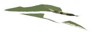 ch1_04_land002_lod, a low-detail (LOD) model of the GTA V map in Lago Zancudo
