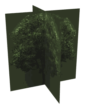 ch1_04_props_combo15_26_lod, a low-detail (LOD) model of the GTA V map in Lago Zancudo
