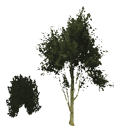 ch1_04_props_combo15_33_lod, a low-detail (LOD) model of the GTA V map in Lago Zancudo