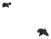 ch1_04_props_combo16_02_lod, a low-detail (LOD) model of the GTA V map in Lago Zancudo