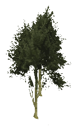 ch1_04_props_combo17_37_lod, a low-detail (LOD) model of the GTA V map in Lago Zancudo
