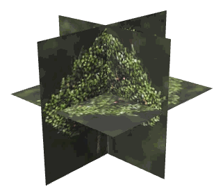 ch1_04_props_combo17_42_lod, a low-detail (LOD) model of the GTA V map in Lago Zancudo