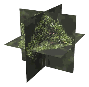 ch1_04_props_combo19_13_lod, a low-detail (LOD) model of the GTA V map in Lago Zancudo