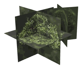 ch1_04_props_combo19_31_lod, a low-detail (LOD) model of the GTA V map in Lago Zancudo