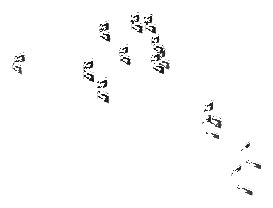 ch1_04_props_combo20_slod, a super-low-detail (SLOD) model of the GTA V map in Lago Zancudo