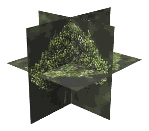 ch1_04_props_combo21_11_lod, a low-detail (LOD) model of the GTA V map in Lago Zancudo