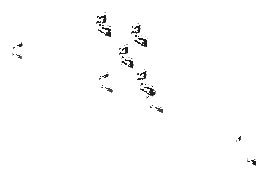 ch1_04_props_combo25_slod, a super-low-detail (SLOD) model of the GTA V map in Lago Zancudo
