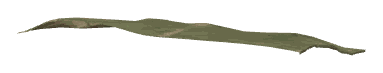 ch1_04_slodbase_nocrunch_2, a piece of the GTA V map in Lago Zancudo